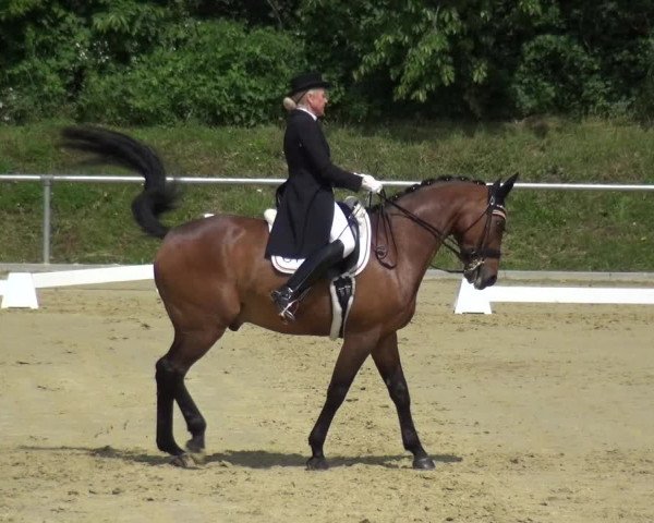 Reitturnier Ladenburg 2019