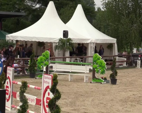 Reitturnier Kirchhellen/Stall Dieckmann 2019