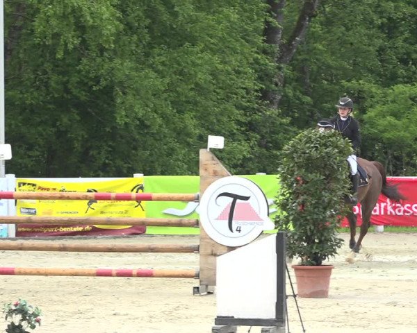 Reitturnier Isny-Rohrdorf 2019