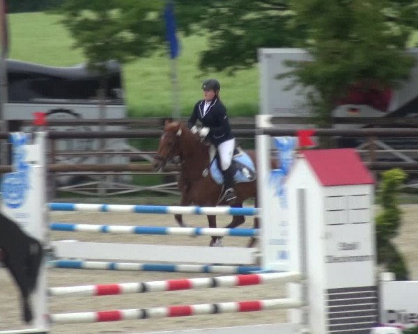 Reitturnier Kirchhellen/Stall Dieckmann 2019