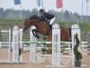 stallion Chateau D'St.emillion (Oldenburg show jumper, 2009, from Chacco-Blue)