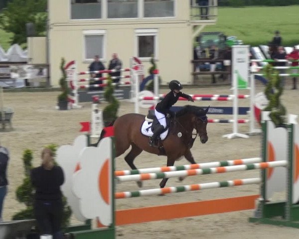 Reitturnier Kirchhellen/Stall Dieckmann 2019