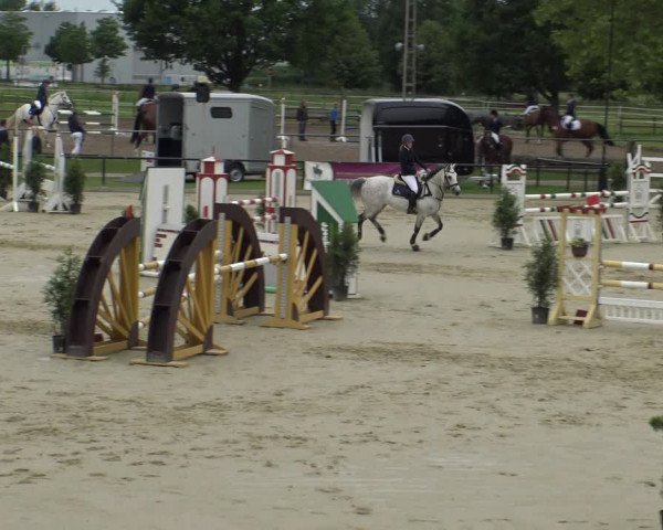 Reitturnier Hamm-Rhynern 2019