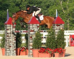 broodmare Taniki (KWPN (Royal Dutch Sporthorse), 2000, from Lux Z)