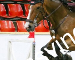 Springpferd Hubertus (Schwedisches Warmblut, 2004, von Feliciano)