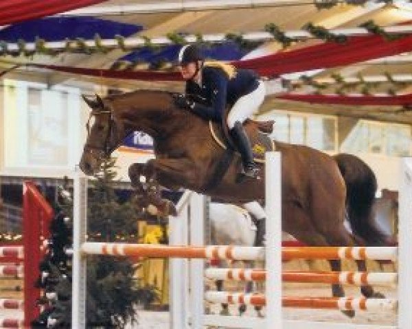 broodmare U-Capitola-S (KWPN (Royal Dutch Sporthorse), 2001, from Emilion)