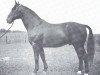 stallion Almfürst (Hanoverian, 1941, from Almjaeger I)
