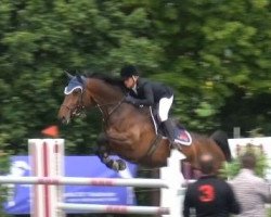 jumper Cameron 32 (Holsteiner, 2008, from Contender)