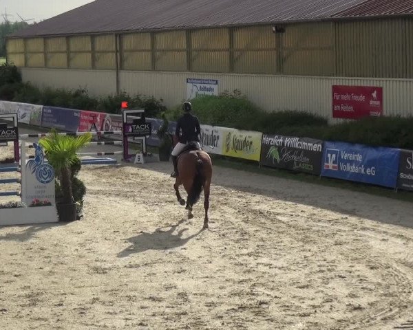 Reitturnier Kirchhellen/Stall Dieckmann 2019