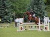 jumper Calero 20 (German Warmblood, 2001, from Canino de Lobo)