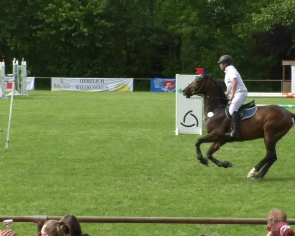 Reitturnier Leingarten 2019