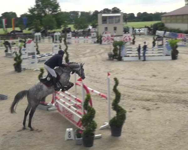 Reitturnier Kirchhellen/Stall Dieckmann 2019