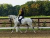 dressage horse Kascha'Lie Mare (Trakehner, 2001, from Osterbote 1462)