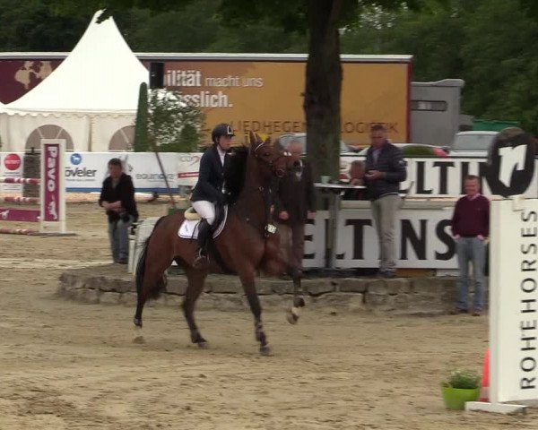 Reitturnier Hellefeld 2019