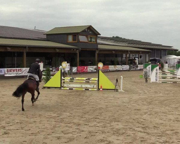 Reitturnier Hellefeld 2019