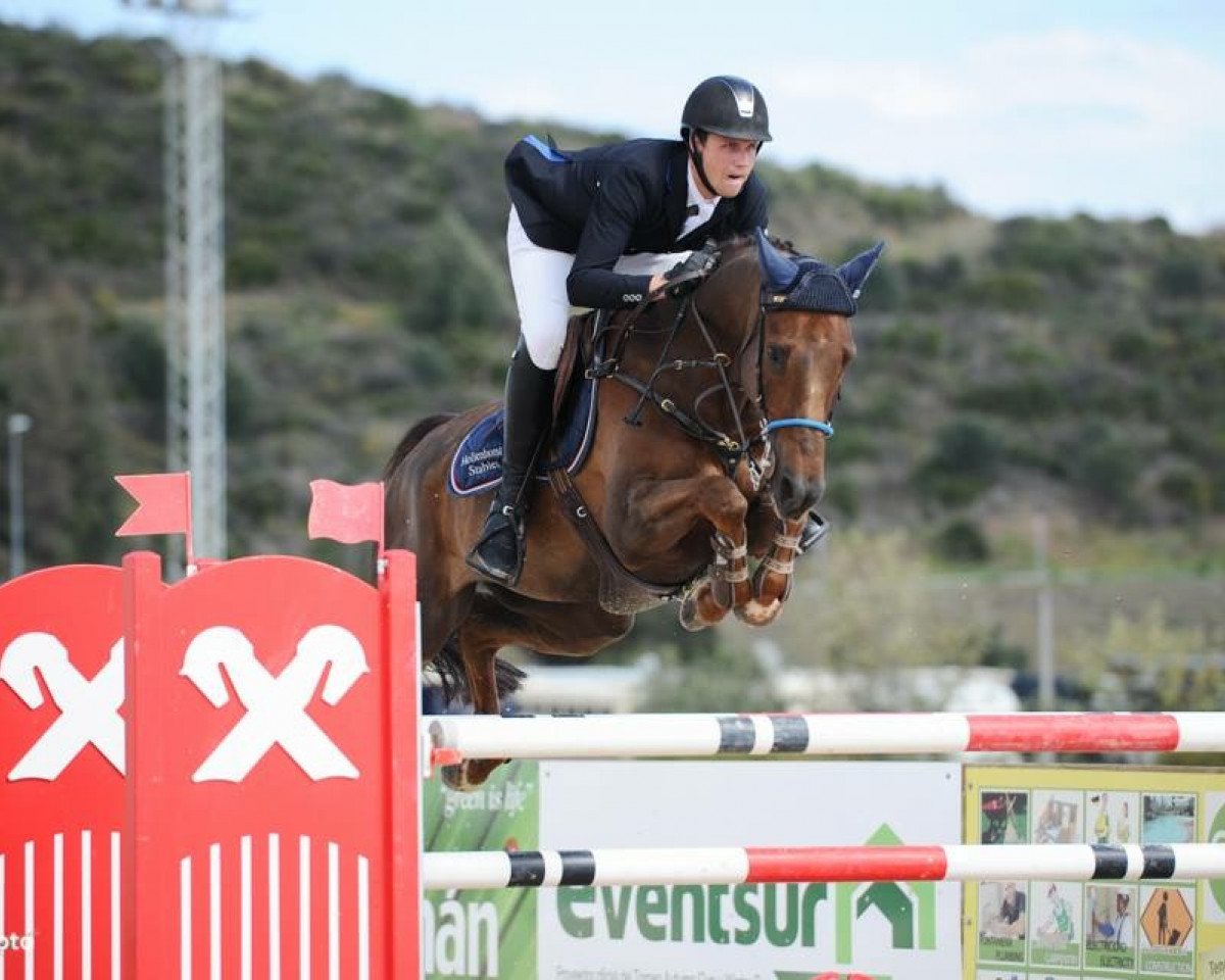 broodmare Cecilia Rosa (Swedish Warmblood, 2002, from Everest)