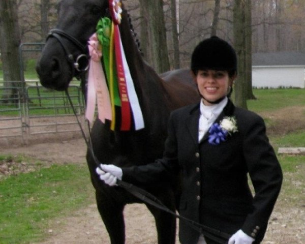 dressage horse Sweet Temptation (Austrian Warmblood, 2006, from Sunny-Boy)