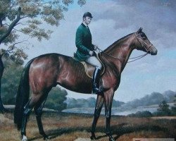 stallion Szafir xx (Thoroughbred, 1968, from Shantung xx)