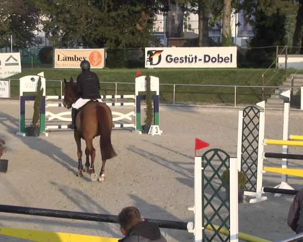 Reitturnier Durmersheim-Hardt 2021