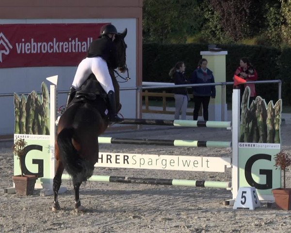 Reitturnier Durmersheim-Hardt 2021