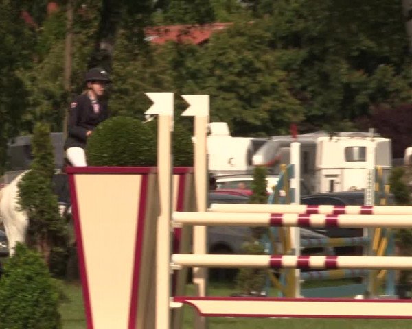 Reitturnier Hille 2019