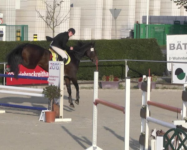Reitturnier Durmersheim-Hardt 2021