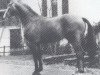 stallion Ferdel (Hanoverian, 1980, from Fürst Ferdinand)