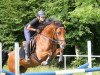 jumper Darwin 127 (German Riding Pony, 2009, from Top Dubidu)