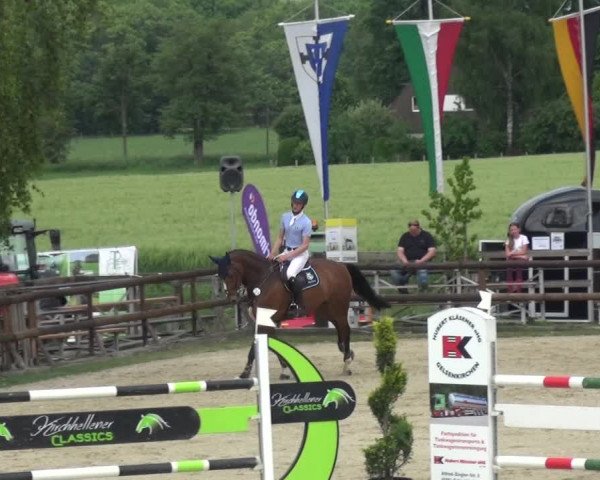 Reitturnier Kirchhellen/Stall Dieckmann 2019
