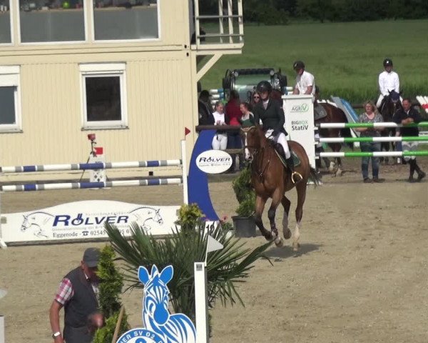 Reitturnier Kirchhellen/Stall Dieckmann 2019