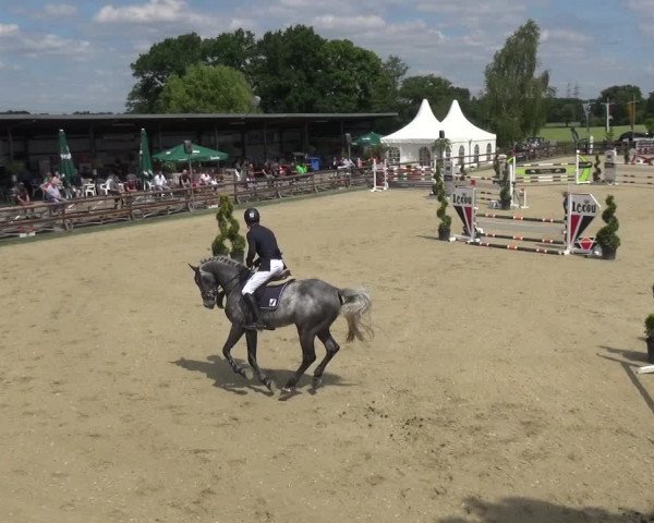 Reitturnier Kirchhellen/Stall Dieckmann 2019