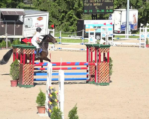 Reitturnier Fehraltorf 2019