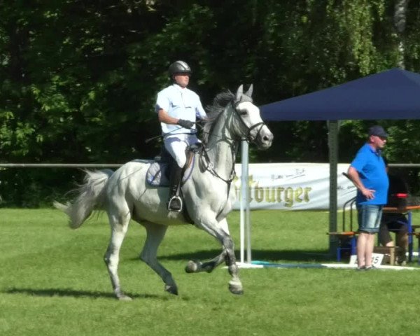 Reitturnier Leingarten 2019