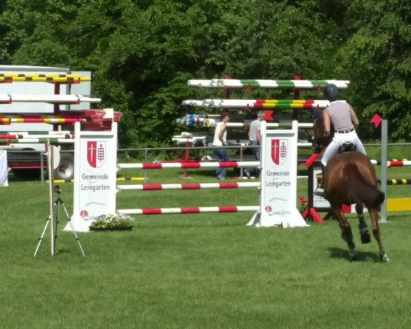 Reitturnier Leingarten 2019