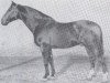 horse Lopshorn (Holsteiner, 1937, from Loretto)