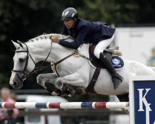 stallion Stokdals Livanos (Danish Warmblood, 2000, from Linaro)