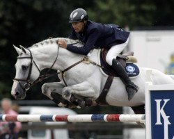 stallion Stokdals Livanos (Danish Warmblood, 2000, from Linaro)