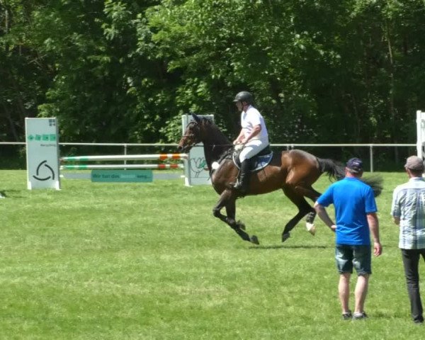 Reitturnier Leingarten 2019