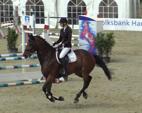 Reitturnier Hamm-Rhynern 2019