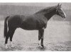 stallion Flak (Hanoverian, 1926, from Flintenstein III)