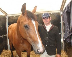 jumper Jarko van 't Kiezelhof (Belgian Warmblood, 2009, from Griseldi)