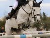 jumper Doxanne B (KWPN (Royal Dutch Sporthorse), 2008, from Zacharov Tn)