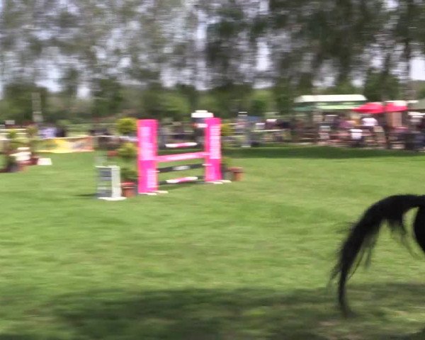 Reitturnier Hille 2019