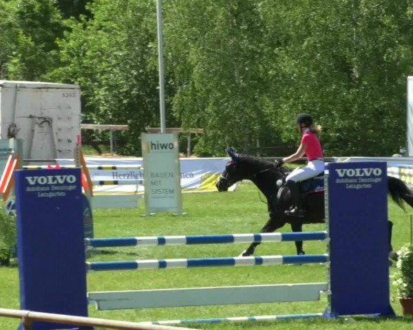 Reitturnier Leingarten 2019