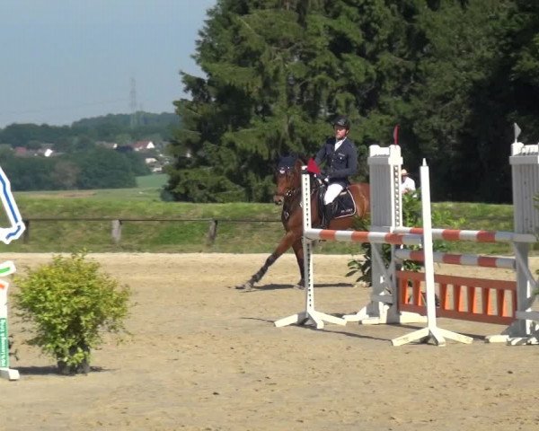 Reitturnier Burscheid-Paffenlöh 2019