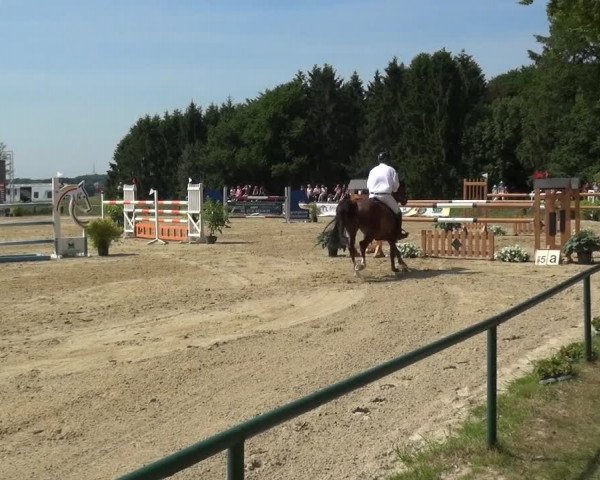 Reitturnier Burscheid-Paffenlöh 2019