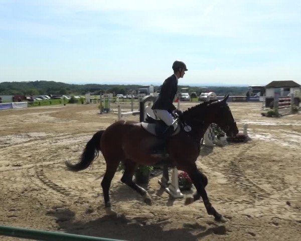 Reitturnier Burscheid-Paffenlöh 2019