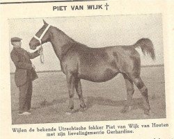 broodmare Gerhardine (Groningen, 1919, from Ruthard IV)