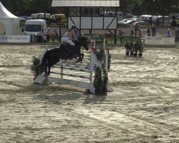 Reitturnier Hamm-Rhynern 2019