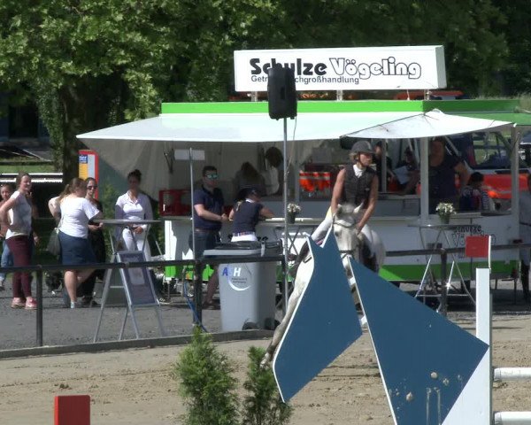 Reitturnier Hamm-Rhynern 2019